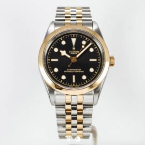 A4876 <span style="display:none;">Tudor</span> Blackbay One 41 S&G Heritage Black Twotone Yelowgold Black Dial (2022)